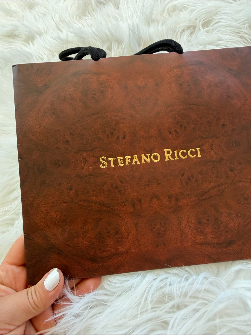 Stefano Ricci Brown Gift Bag With Gold Logo